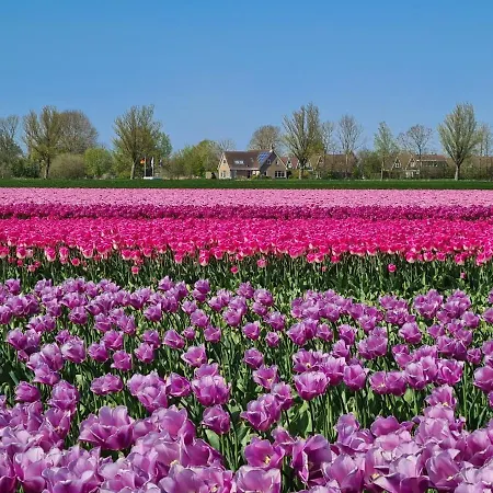 513 Op Recreatiepark De Wielen *